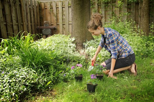 Hardscaping elements like patios and walkways