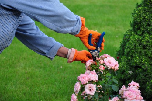 Middle-stage garden clearance with green waste being loaded into a van